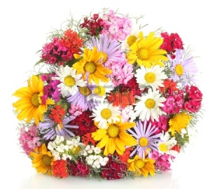 14606773-beautiful-bouquet-of-bright-wildflowers-isolated-on-white